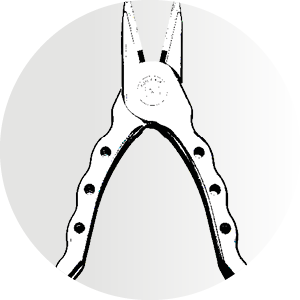 Pinza
